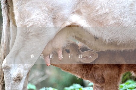 我是司法行政人 我是司法行政人