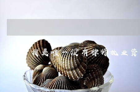 我是唯一没有律师执业资格证的法务 我是唯一没有律师执业资格证的法务
