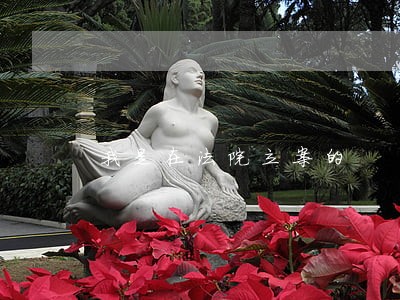 我是在法院立案的 我是在法院立案的