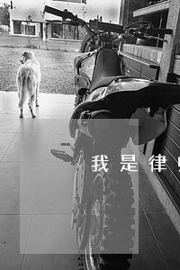 我是律师原 我是律师原