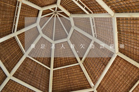 我是法人我欠贷款逾期 我是法人我欠贷款逾期