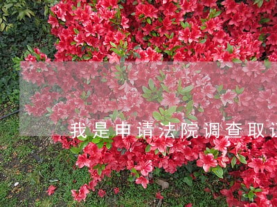 我是申请法院调查取证