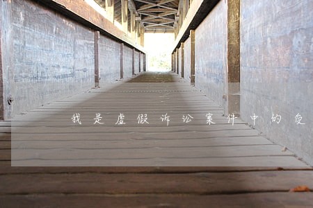我是虚假诉讼案件中的受害人