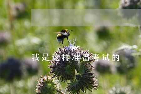 我是这样准备考试的 我是这样准备考试的