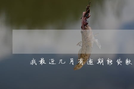 我最近几月有逾期能贷款吗 我最近几月有逾期能贷款吗