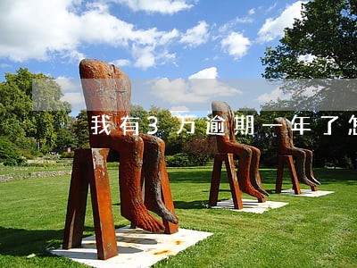 我有3万逾期一年了怎么办 我有3万逾期一年了怎么办