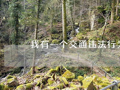 我有一个交通违法行为 我有一个交通违法行为