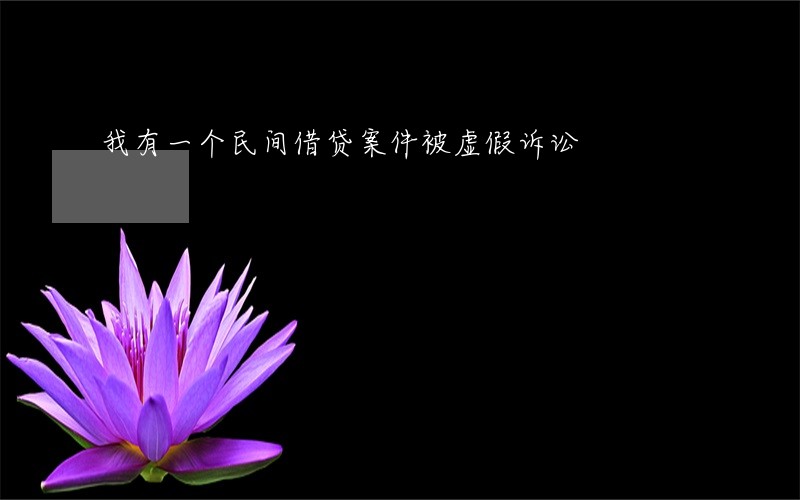 我有一个民间借贷案件被虚假诉讼