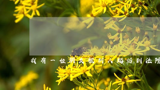 我有一位朋友被别人起诉到法院了 我有一位朋友被别人起诉到法院了