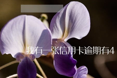我有一张信用卡逾期有4个月 我有一张信用卡逾期有4个月