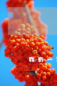 我有一笔法院罚金没交 我有一笔法院罚金没交