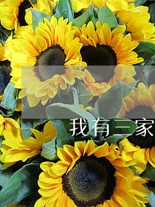 我有三家银行的信用卡逾期四次 我有三家银行的信用卡逾期四次