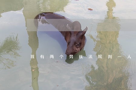 我有两个男孩法院判一人一个 我有两个男孩法院判一人一个