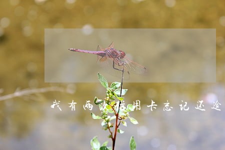 我有两次信用卡忘记还逾期了