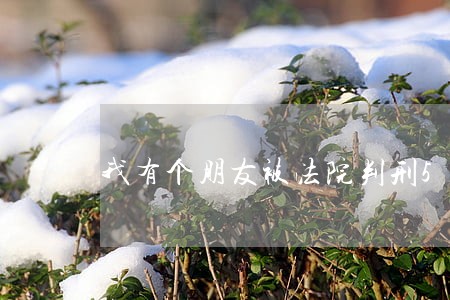 我有个朋友被法院判刑5年6个月 我有个朋友被法院判刑5年6个月