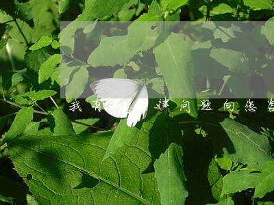 我有个法律问题向您咨询