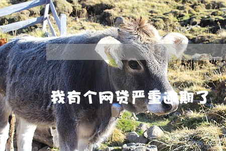 我有个网贷严重逾期了