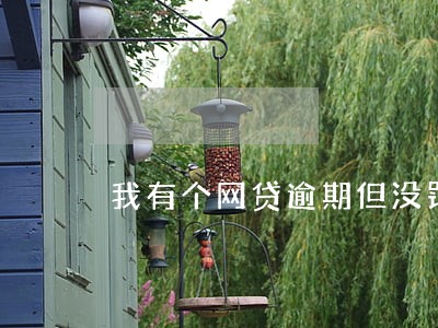 我有个网贷逾期但没罚息 我有个网贷逾期但没罚息