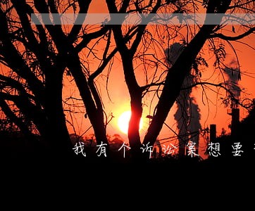 我有个诉讼案想要咨询一下 我有个诉讼案想要咨询一下