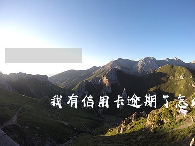 我有信用卡逾期了怎么办 我有信用卡逾期了怎么办