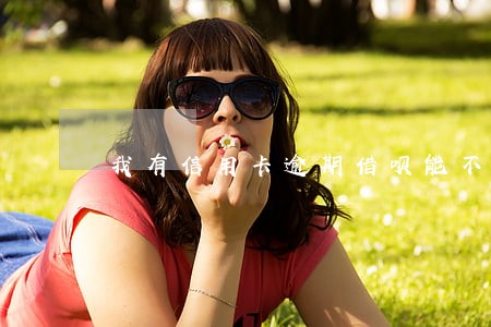 我有信用卡逾期借呗能不能借 我有信用卡逾期借呗能不能借