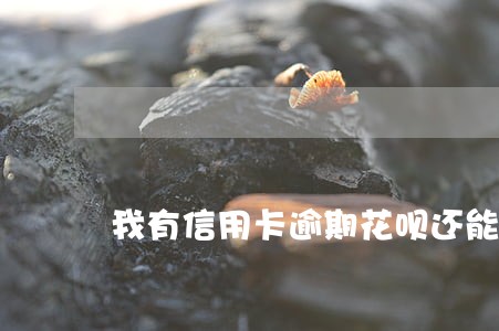 我有信用卡逾期花呗还能用吗