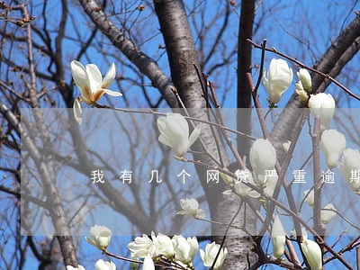 我有几个网贷严重逾期 我有几个网贷严重逾期