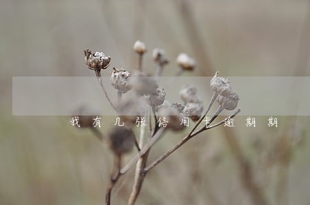 我有几张信用卡逾期期