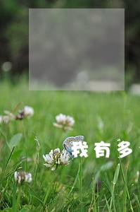 我有多个网贷没有逾期 我有多个网贷没有逾期