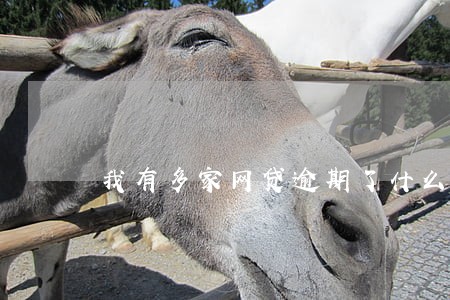 我有多家网贷逾期了什么处理 我有多家网贷逾期了什么处理