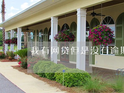 我有网贷但是没有逾期买房 我有网贷但是没有逾期买房