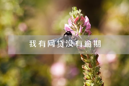 我有网贷没有逾期 我有网贷没有逾期