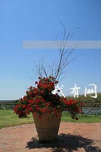 我有网贷逾期两个月了 我有网贷逾期两个月了