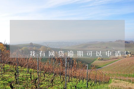 我有网贷逾期可以申请信用卡吗 我有网贷逾期可以申请信用卡吗