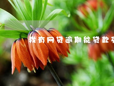 我有网贷逾期能贷款买车吗 我有网贷逾期能贷款买车吗