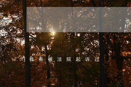 我有被法院起诉过 我有被法院起诉过