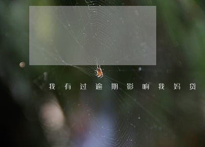 我有过逾期影响我妈贷款吗 我有过逾期影响我妈贷款吗