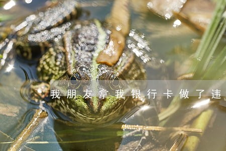 我朋友拿我银行卡做了违法行为 我朋友拿我银行卡做了违法行为