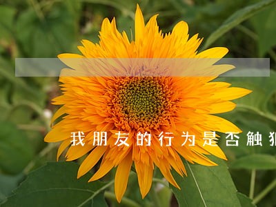 我朋友的行为是否触犯法律 我朋友的行为是否触犯法律