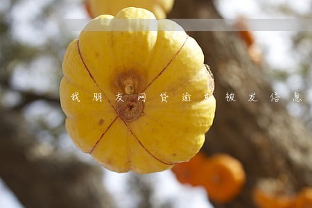 我朋友网贷逾期被发信息骂人
