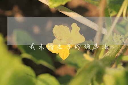 我未婚生子的确违法 我未婚生子的确违法