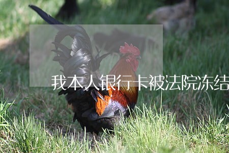 我本人银行卡被法院冻结 我本人银行卡被法院冻结