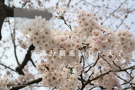 我来分期逾期10天了 我来分期逾期10天了
