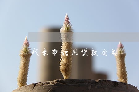 我来带信用贷款逾期 我来带信用贷款逾期