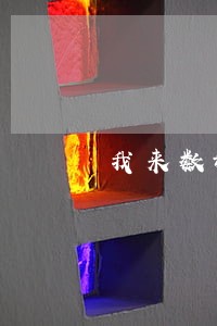 我来数科4000逾期一年