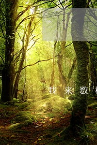 我来数科逾期1年会上征信吗 我来数科逾期1年会上征信吗
