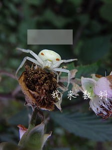 我来数科逾期超过3天 我来数科逾期超过3天