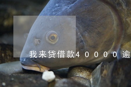 我来贷借款40000逾期 我来贷借款40000逾期