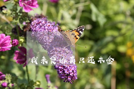 我来贷协商只还本金 我来贷协商只还本金