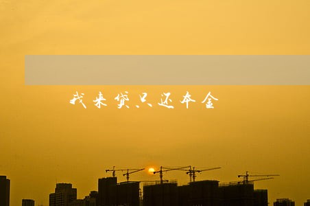 我来贷只还本金 我来贷只还本金